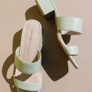 INTENTIONALLY BLANK Scamp Mule in Mint